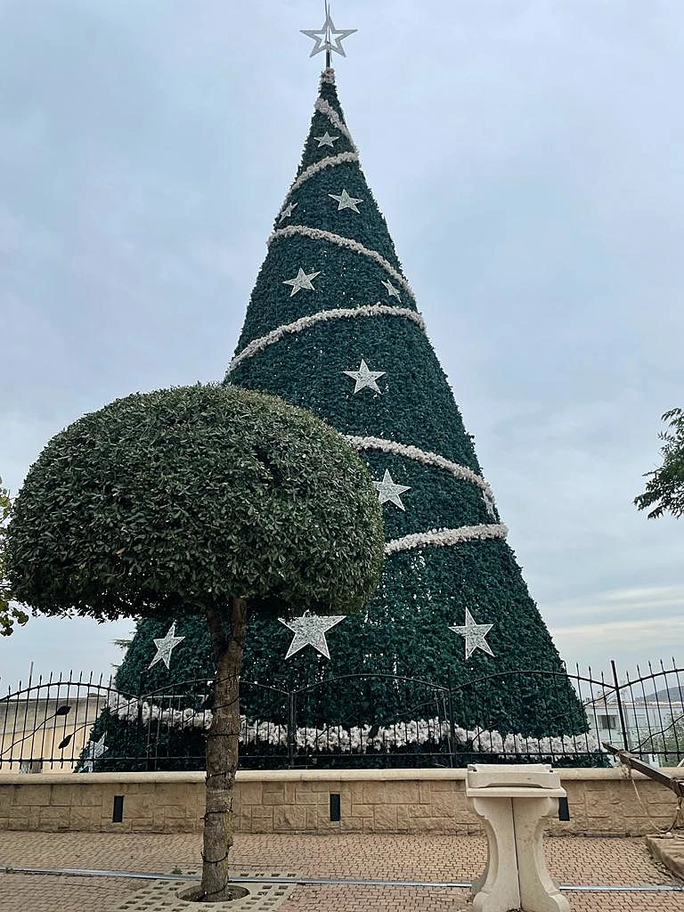 Whatsapp Image 2021 12 14 At 1