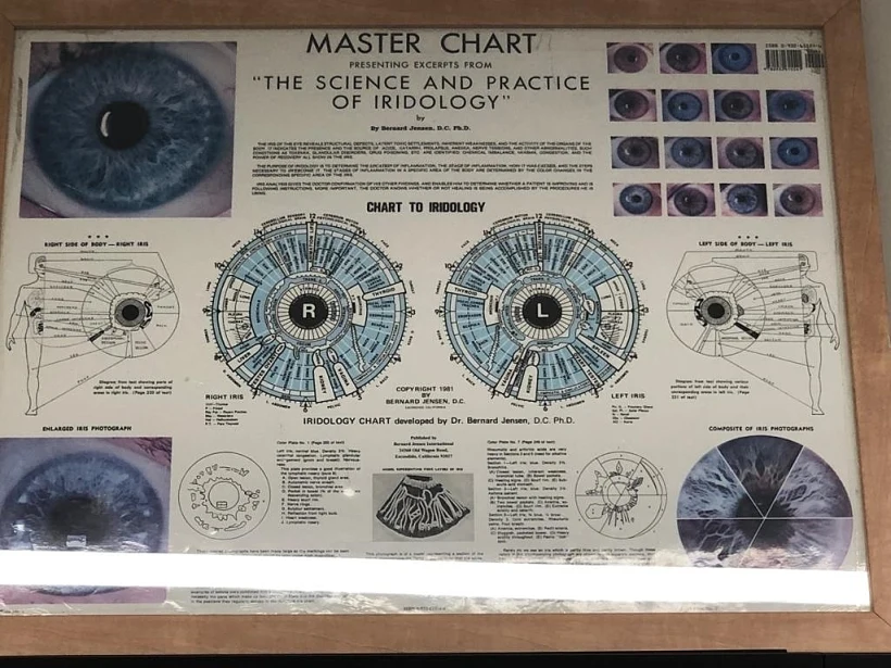 שיטת הטיפול של ורד אלה