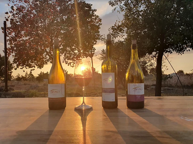 חוויה לזוגות ביקב סקוריה