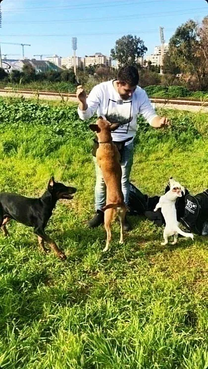 דרור גל בסשן אילוף