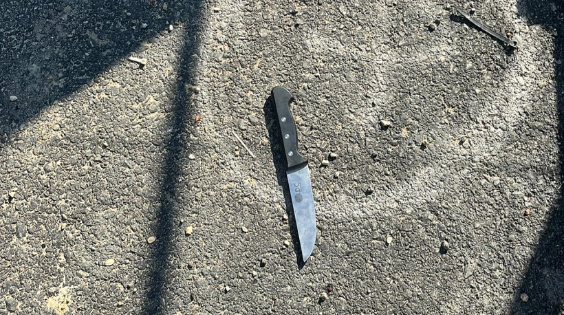 Whatsapp Image 2022 01 17 At 1