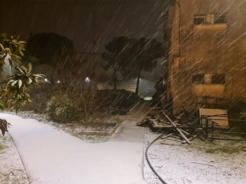 Whatsapp Image 2022 01 19 At 0