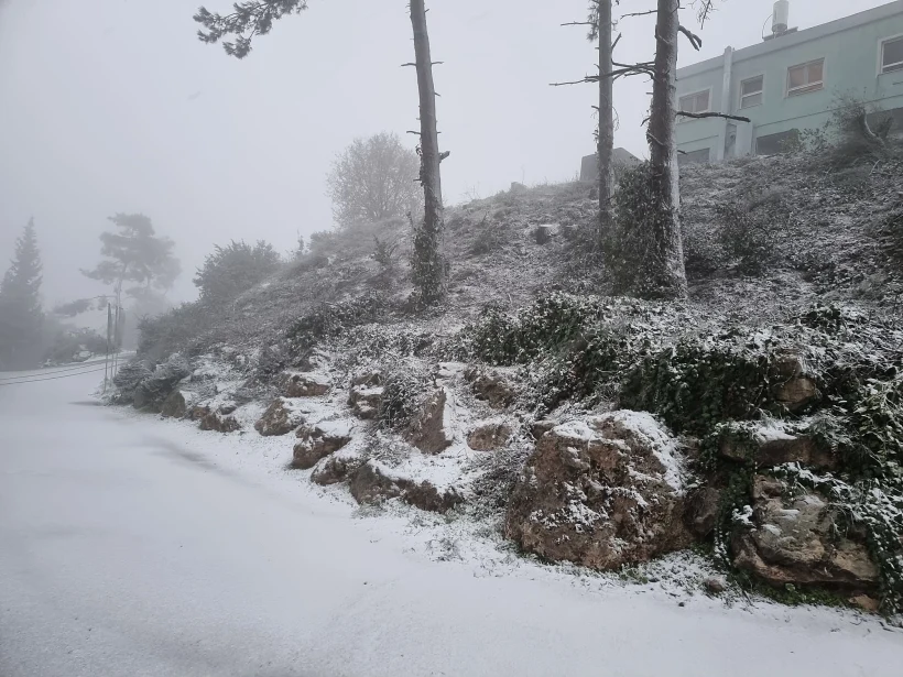 שלג בקיבוץ מנרה שברמת הגולן