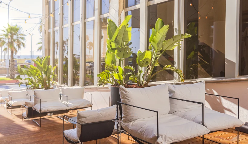 מלון בראון ברוט, המסעדה הבאה