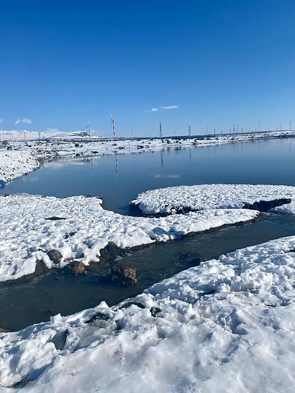 272222965 494379192113143 8068