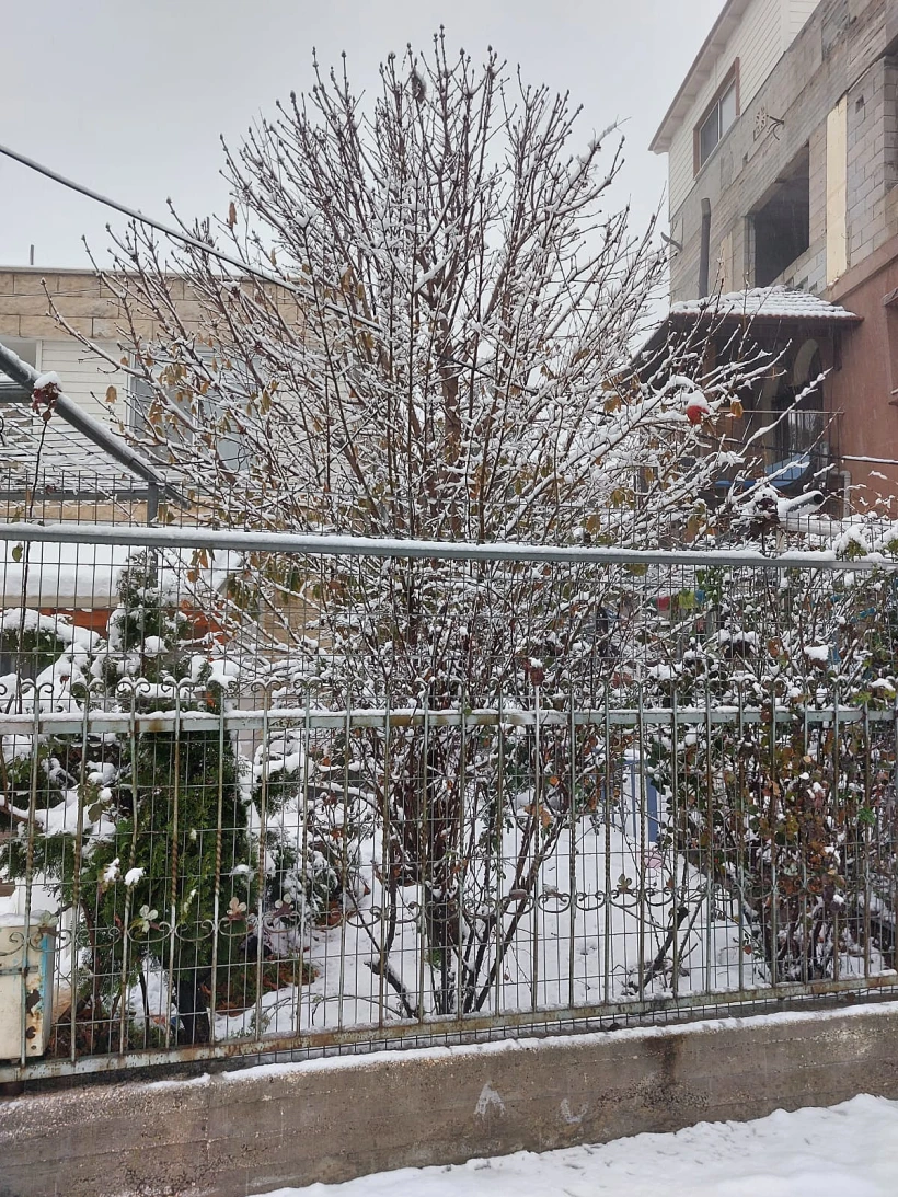 Whatsapp Image 2022 01 26 At 0