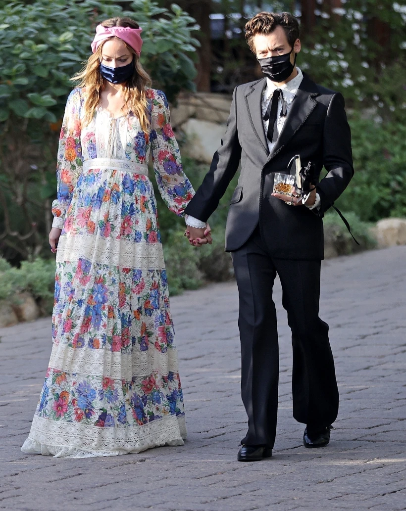 הארי סטיילס ואוליביה ווילד