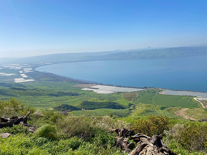 מצפה השלום