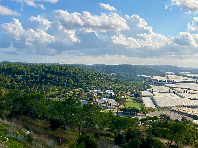 הנוף מיער עופר
