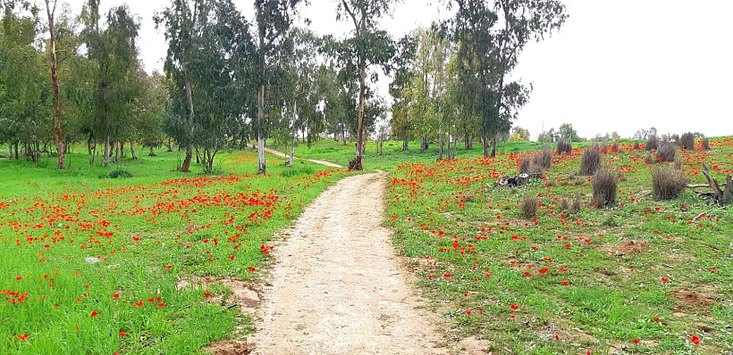 Whatsapp Image 2022 02 12 At 1