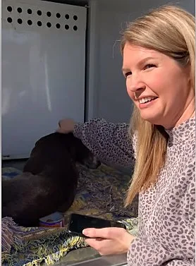 הבעלים מישל והכלבה זואי במפגש ראשון לאחר 12 שנים