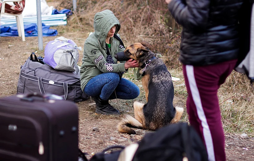 פליטה אוקראינית והכלב שלה בסלובקיה