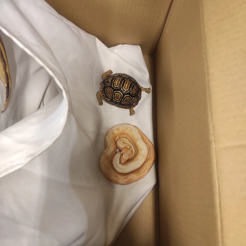 Whatsapp Image 2022 03 21 At 1