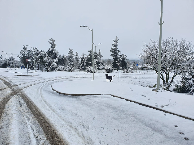 שלג עין זיוון