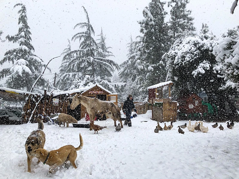 Whatsapp Image 2022 03 24 At 1