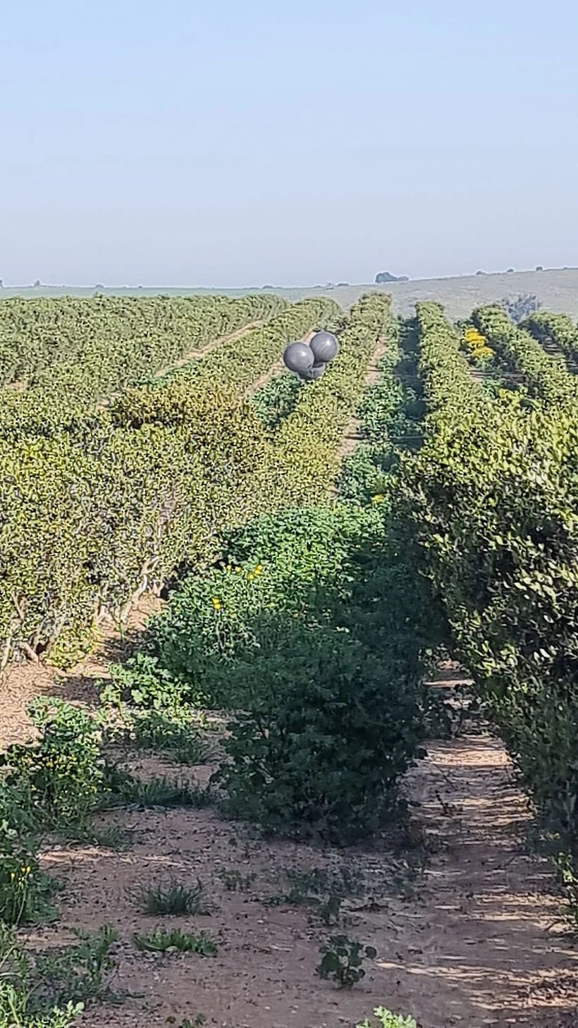 חשד לבלוני נפץ בשדה בשער הנגב