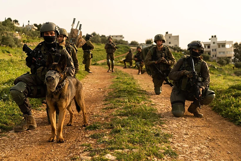 פעילות צה''ל בשטחים