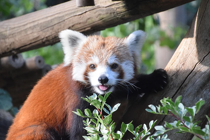 Whatsapp Image 2022 04 10 At 1