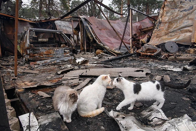 Whatsapp Image 2022 04 23 At 0