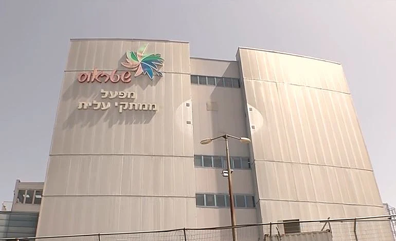 מפעל ממתקי עלית של שטראוס