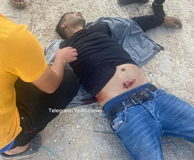 דאוד זביידי