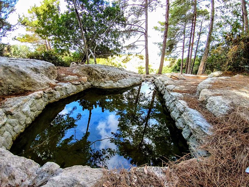 20708405 1625734604166667 3192