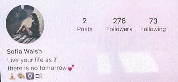 דוגמה לפרופיל בשימוש איראני