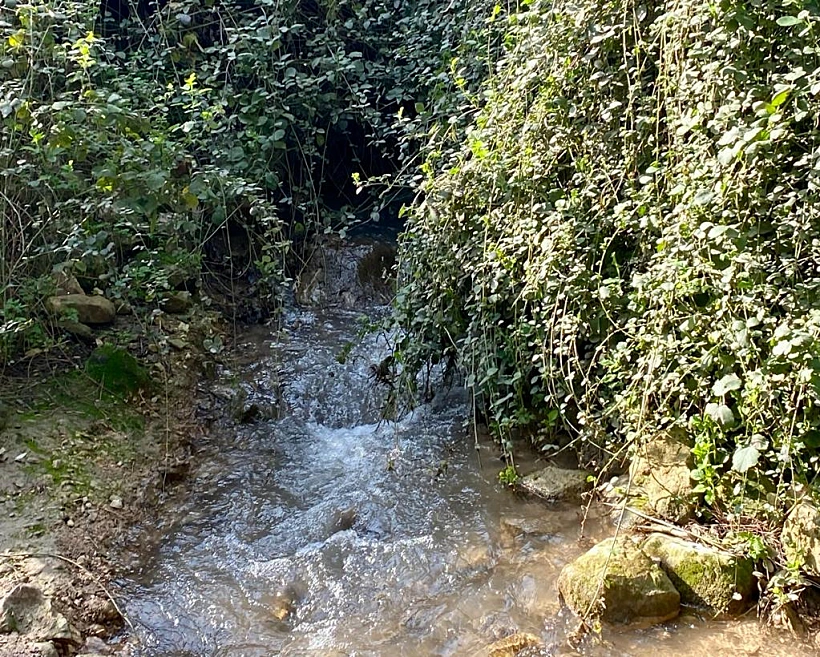 Waixvu