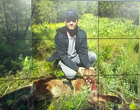 פומה תקפה ילדה בת 9 בוושינגטון