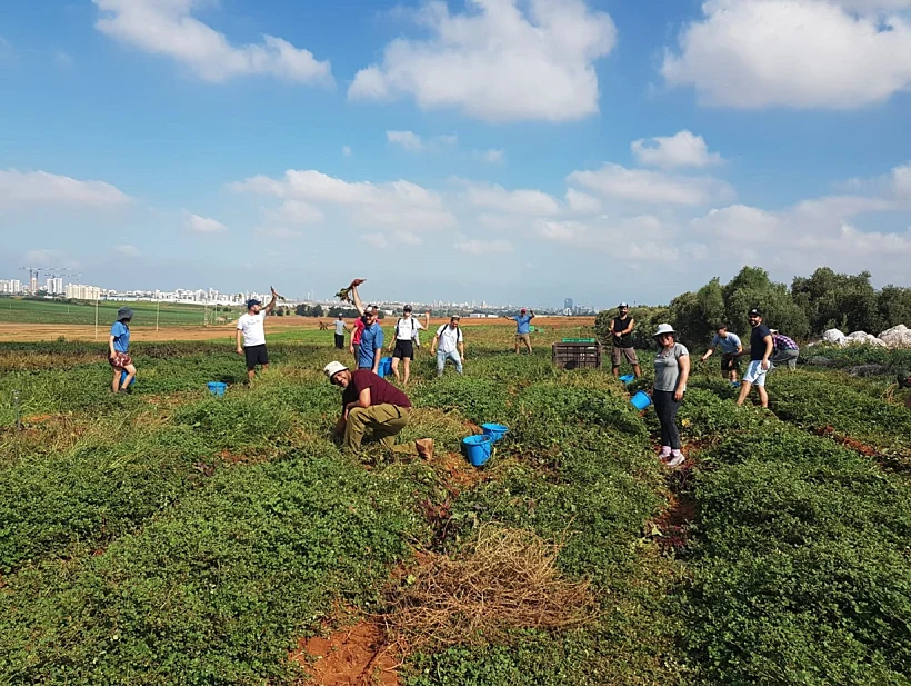דואגות לכדור הארץ