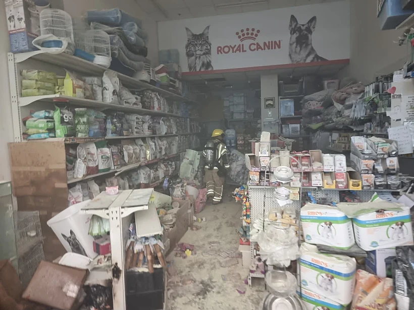 חנות החיות שנשרפה, קריון, קרית ביאליק