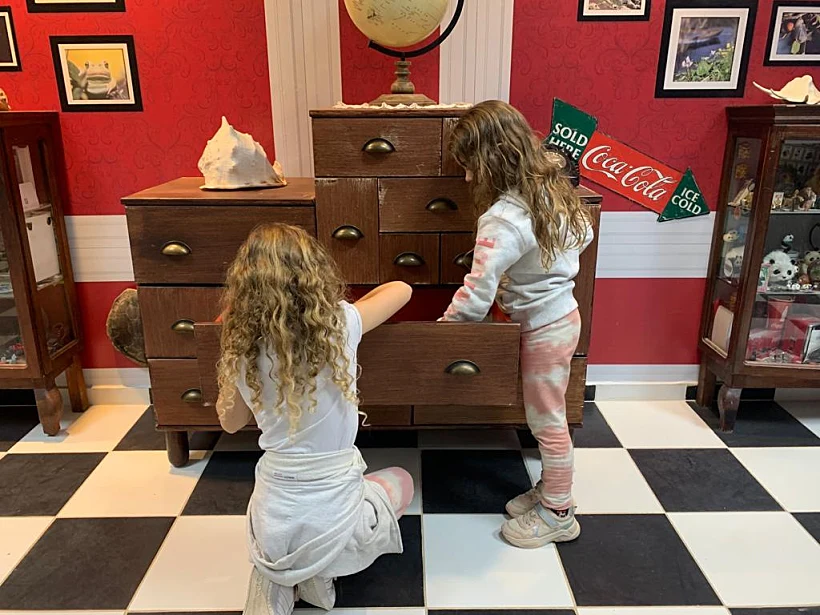 חדר הפלאות. צילום: לירון אלעד