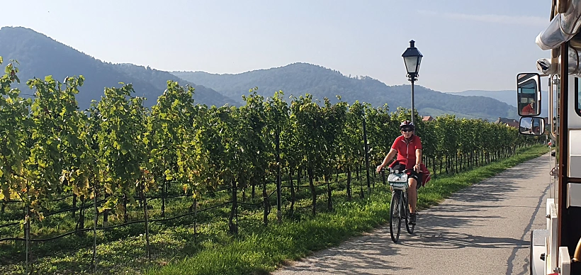 כרמים בוכאו. צילמה: גילי מצא