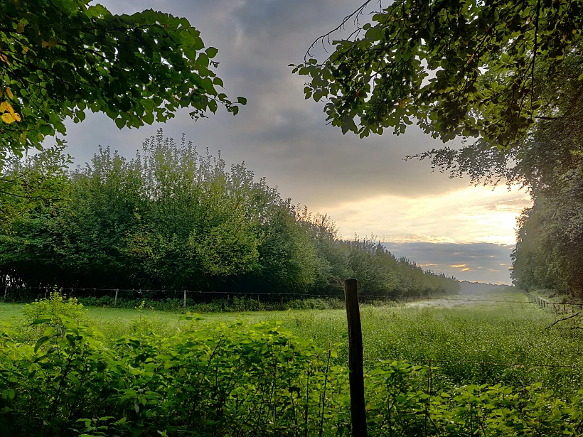 הכפר חרוסבייק. צילום: רחלי לביא דגן