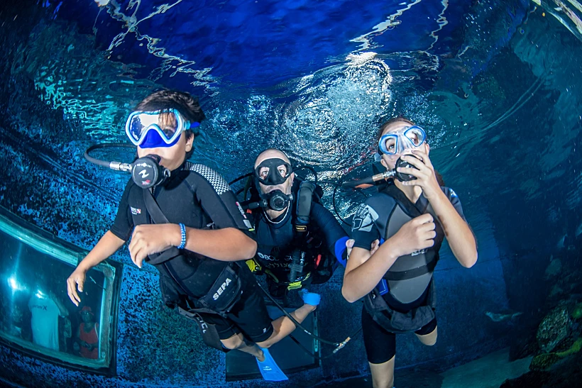 דייב אין בפארק המצפה התת ימי קרדיט צילום בועז סמוראי (2)