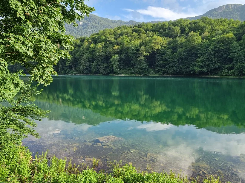 המים הצלולים של ביוגראד לייק ביוגרדסקה גורה מונטנגרו