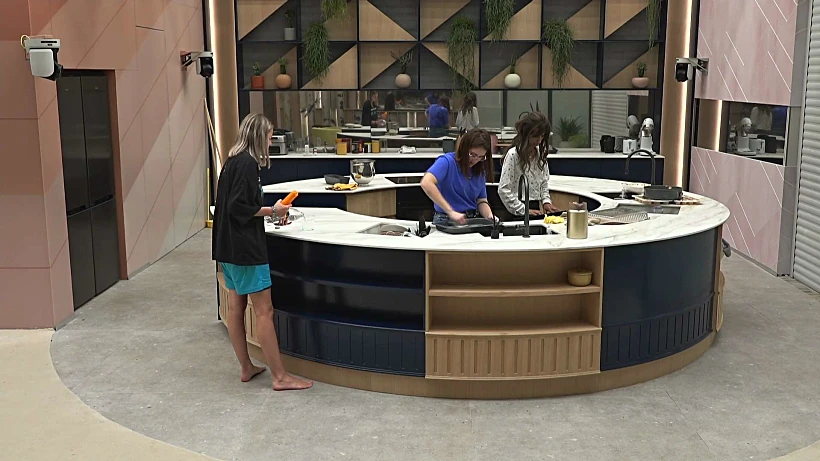 מרינה דינה ושרין, האח הגדול