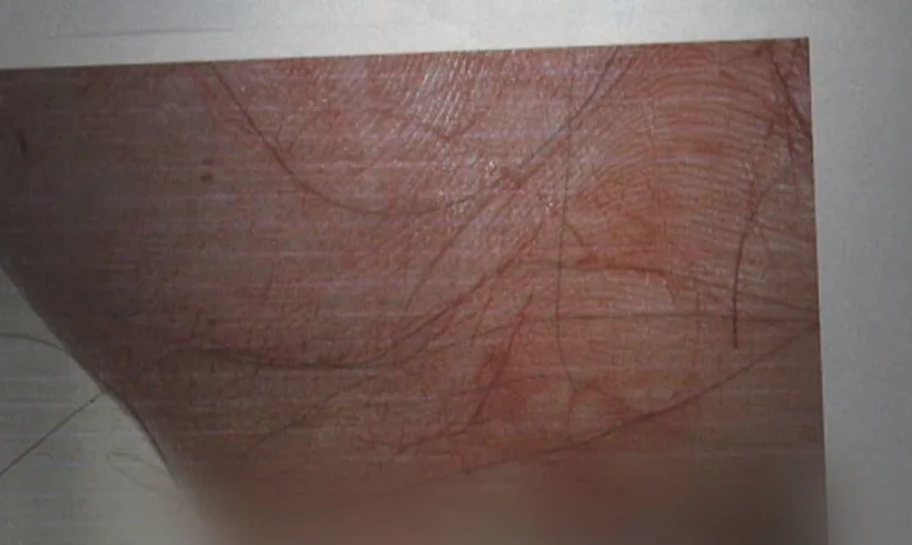 פרופיל השערה הנוכחי שנבדק