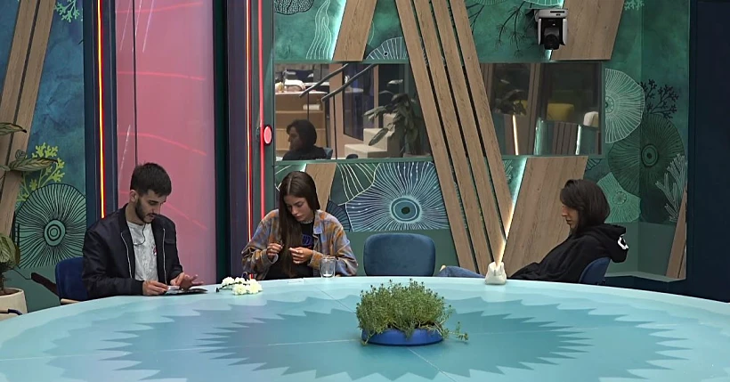 דיאן שוורץ, קאזם חליליה, טליה עובדיה, האח הגדול עונה 4