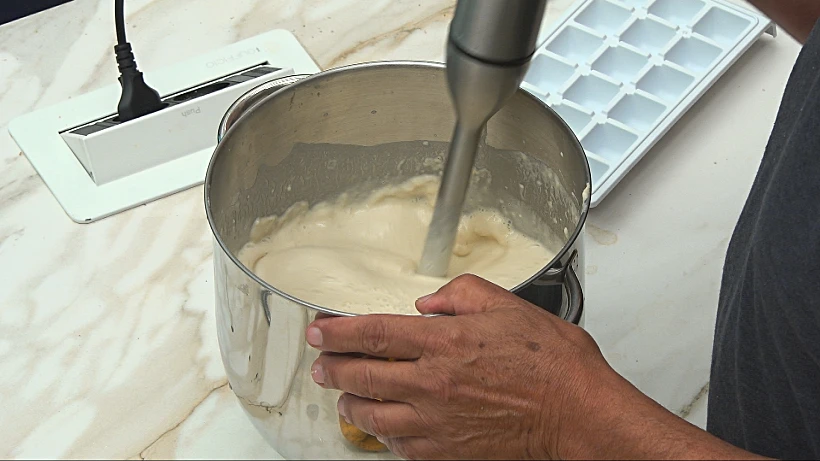 מוט בלנדר של SAUTER