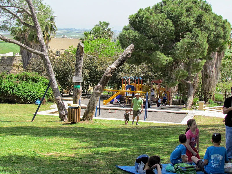 פארק ז'בוטינסקי - שוני. תמונה באדיבות עינב לנדאו - 'מפה לשם'