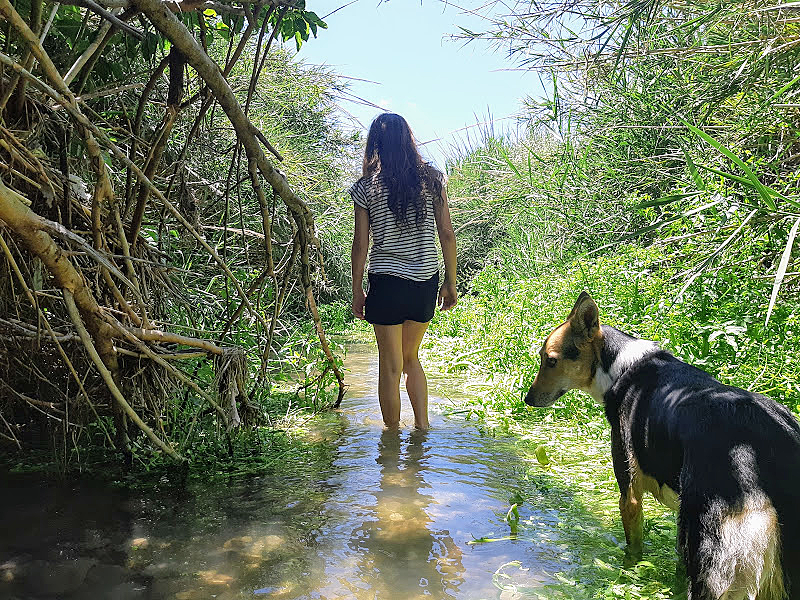 עין עמיקם. תמונה באדיבות עינב לנדאו - 'מפה לשם'