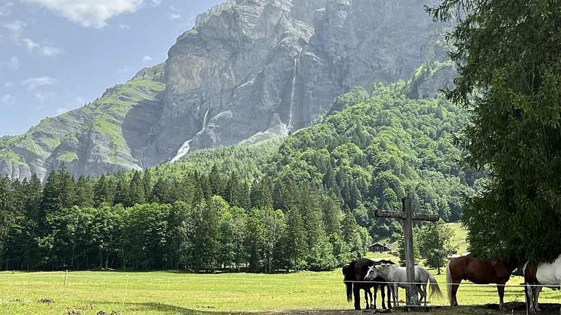 Sixt-Fer-à-Cheval.צילום: תאיר פאר