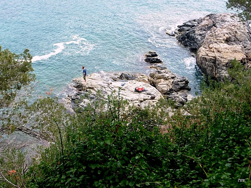 קוסטה בראווה. צילום: זיוה רענן