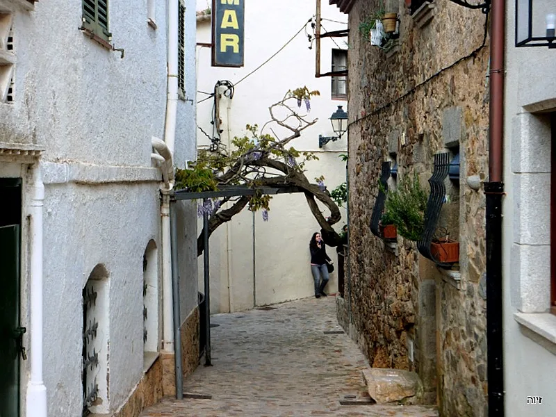 קוסטה בראווה. צילום: זיוה רענן