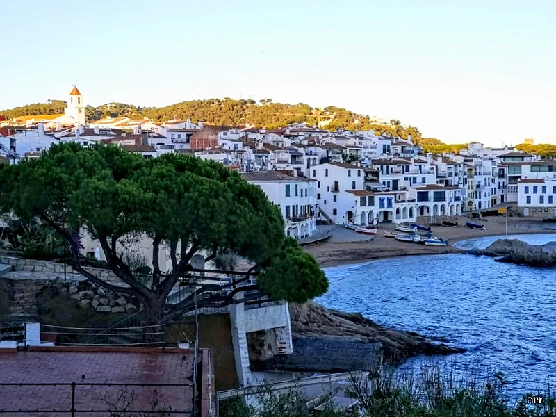 קוסטה בראווה. צילום: זיוה רענן