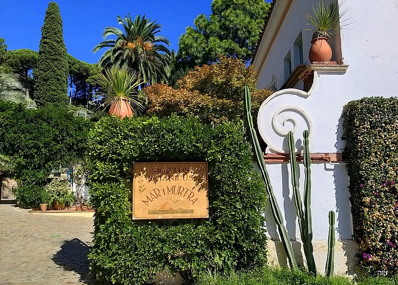 קוסטה בראווה. צילום: זיוה רענן