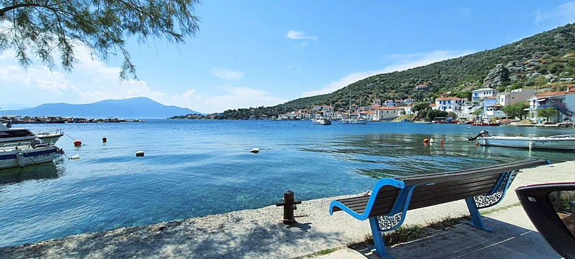 פיליון. צילום: גלעד בן בשט