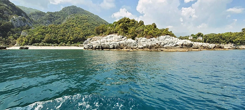 לשחות עד החוף. צילום: גלעד בן בשט