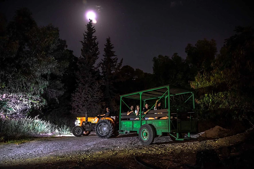 טַל מִלְּמַטָּה וּלְבָנָה מֵעַל. צילום: אבי חיימוביץ